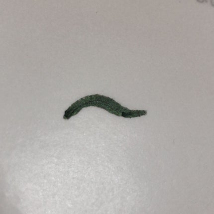 excel カラーラスティング ジェルライナーのクチコミ「LIPPS購入品徹底レビューゥ❣️
【使った商品】
excel カラーラスティング ジェルラ.....」(3枚目)