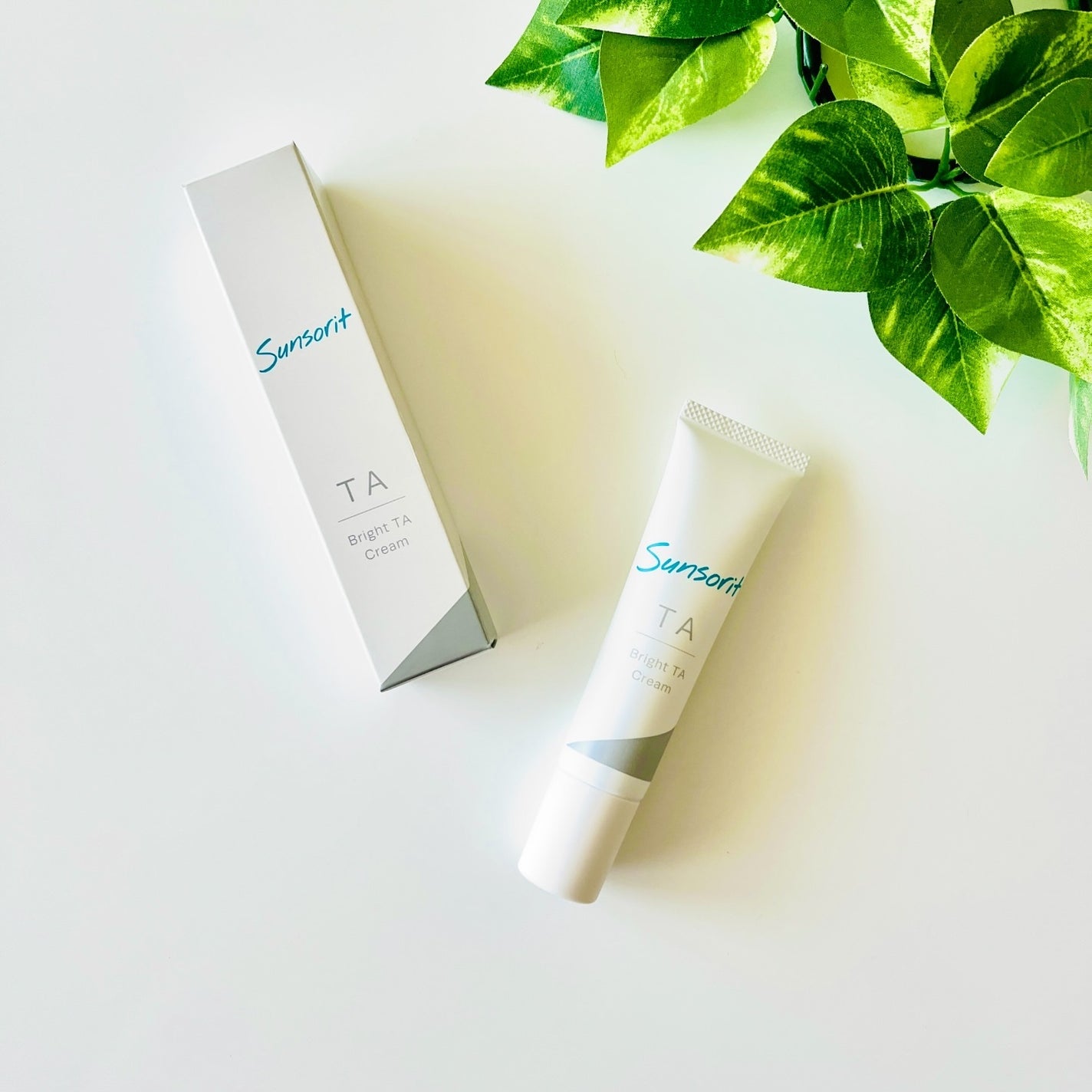 ブライトTAクリーム【医薬部外品】/サンソリット/フェイスクリームを使ったクチコミ(1枚目)