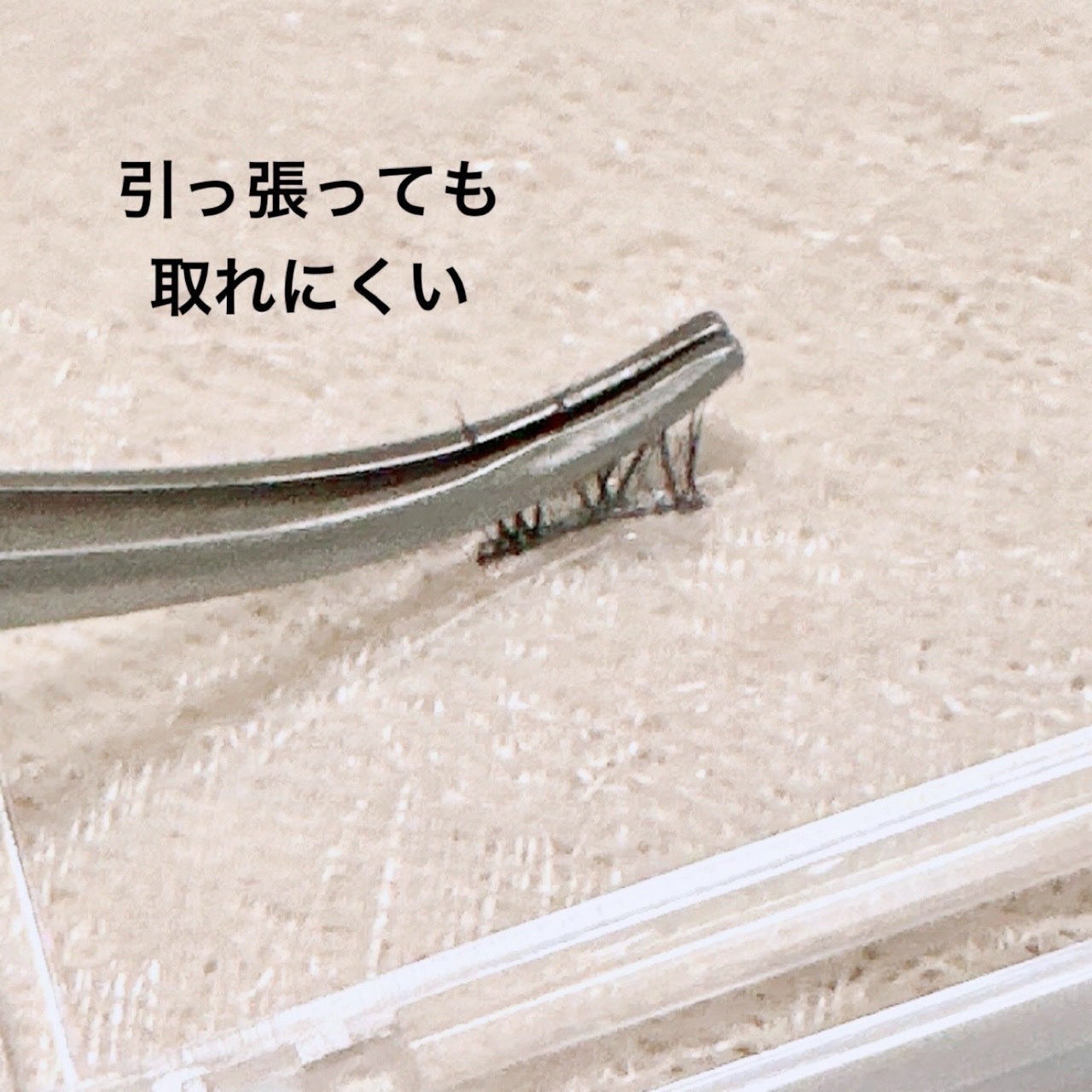 アイラッシュフィクサーEX 552/D-UP/つけまつげを使ったクチコミ(4枚目)