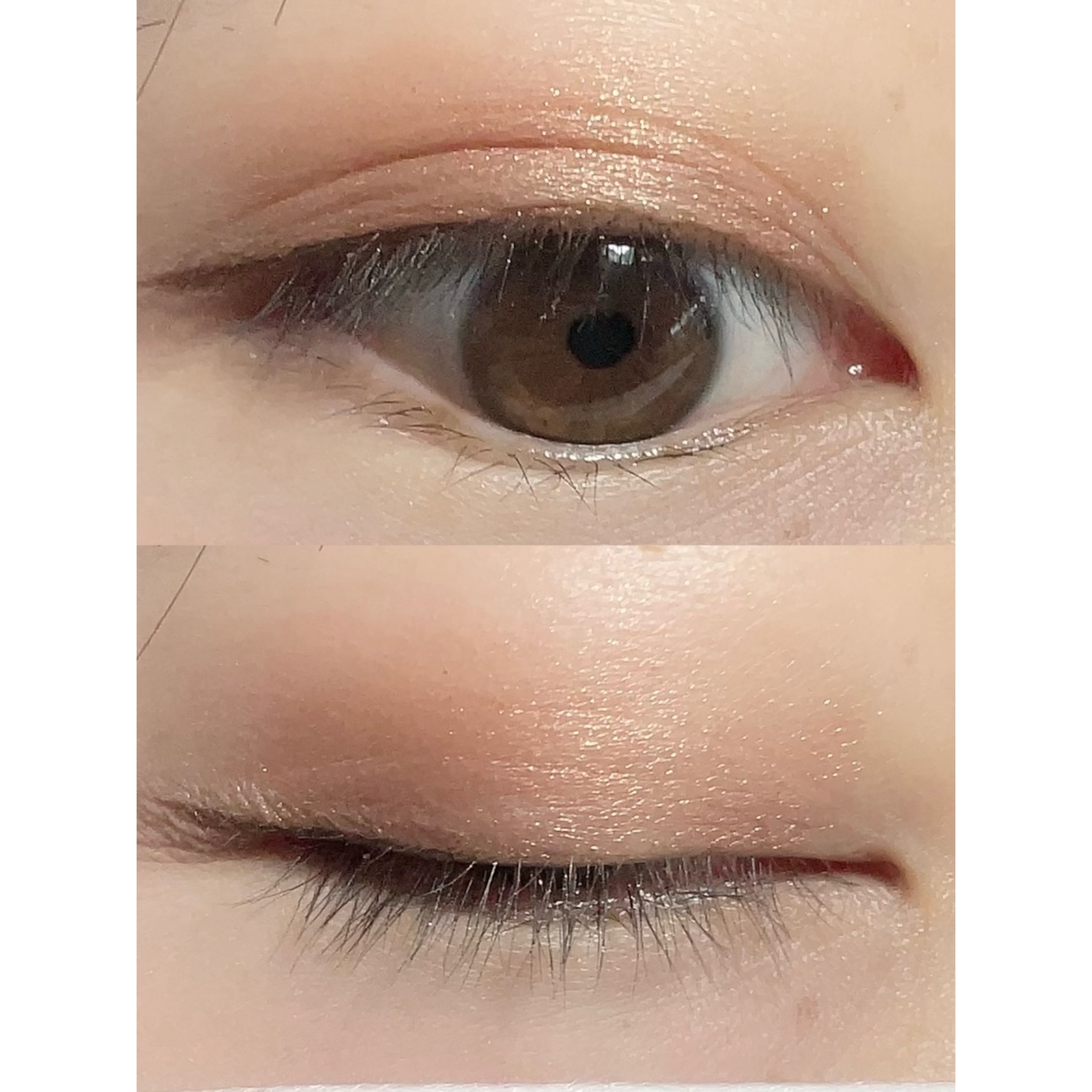 UR GLAM　BLOOMING EYE COLOR PALETTE/U R GLAM/アイシャドウパレットを使ったクチコミ（2枚目）