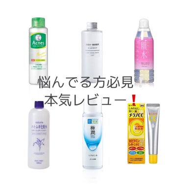 極潤ヒアルロン液（ハダラボモイスト化粧水d） 170ml（つめかえ用）/肌ラボ/化粧水を使ったクチコミ（1枚目）