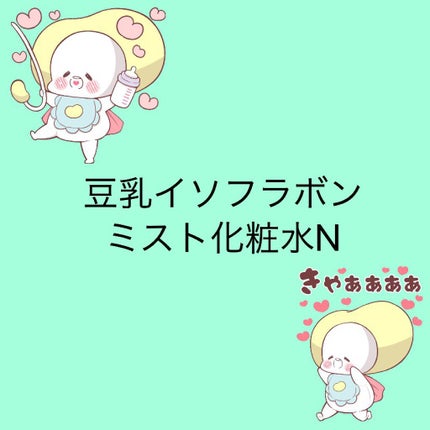 なめらか本舗 マイクロミスト化粧水 NC/なめらか本舗/ミスト状化粧水を使ったクチコミ(1枚目)