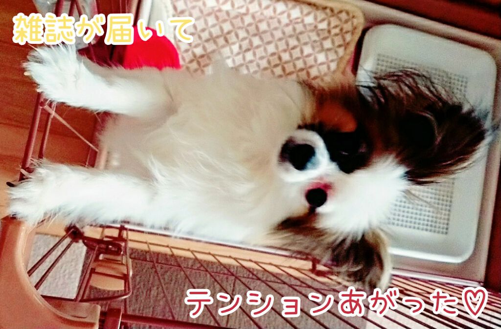 LDK the Beauty 2018年6月号/LDK the Beauty/雑誌を使ったクチコミ（1枚目）