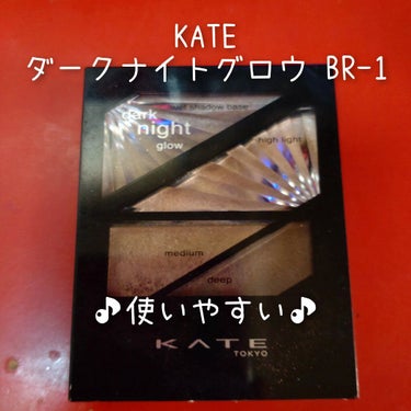 ダークナイトグロウ BR-1/KATE/アイシャドウパレットを使ったクチコミ（1枚目）