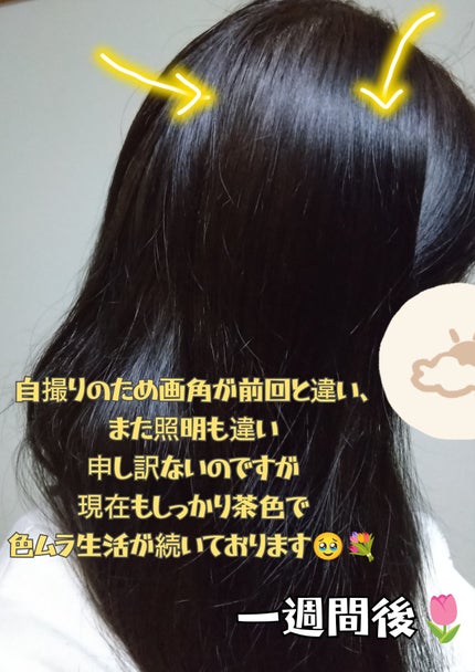 ã€ã«ãŒã»ã³ã ãã«ããŒãã¢ã«ã©ãŒ/ãµã€ãªã¹/ãã¢ã«ã©ãŒã䜿ã£ãã¯ãã³ãïŒ4æç®ïŒ