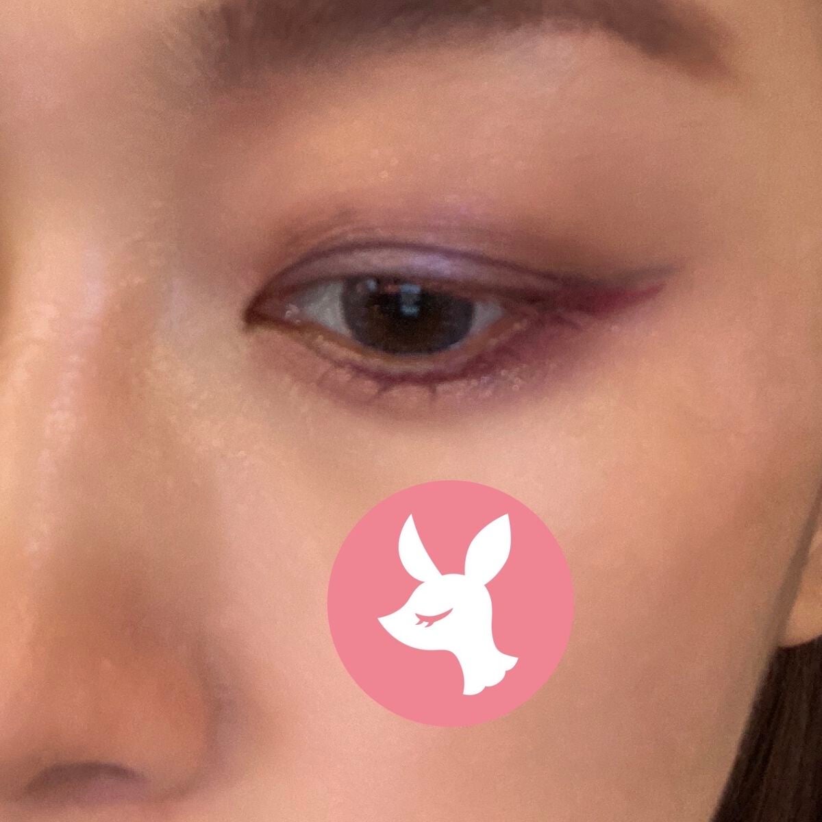 パウダー&ペンシル アイブロウEX/excel/アイブロウペンシルを使ったクチコミ(2枚目)