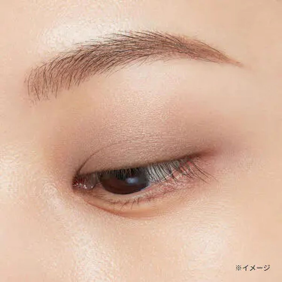 エテュセ アイエディション(カラーパレット) 06 グレージュ