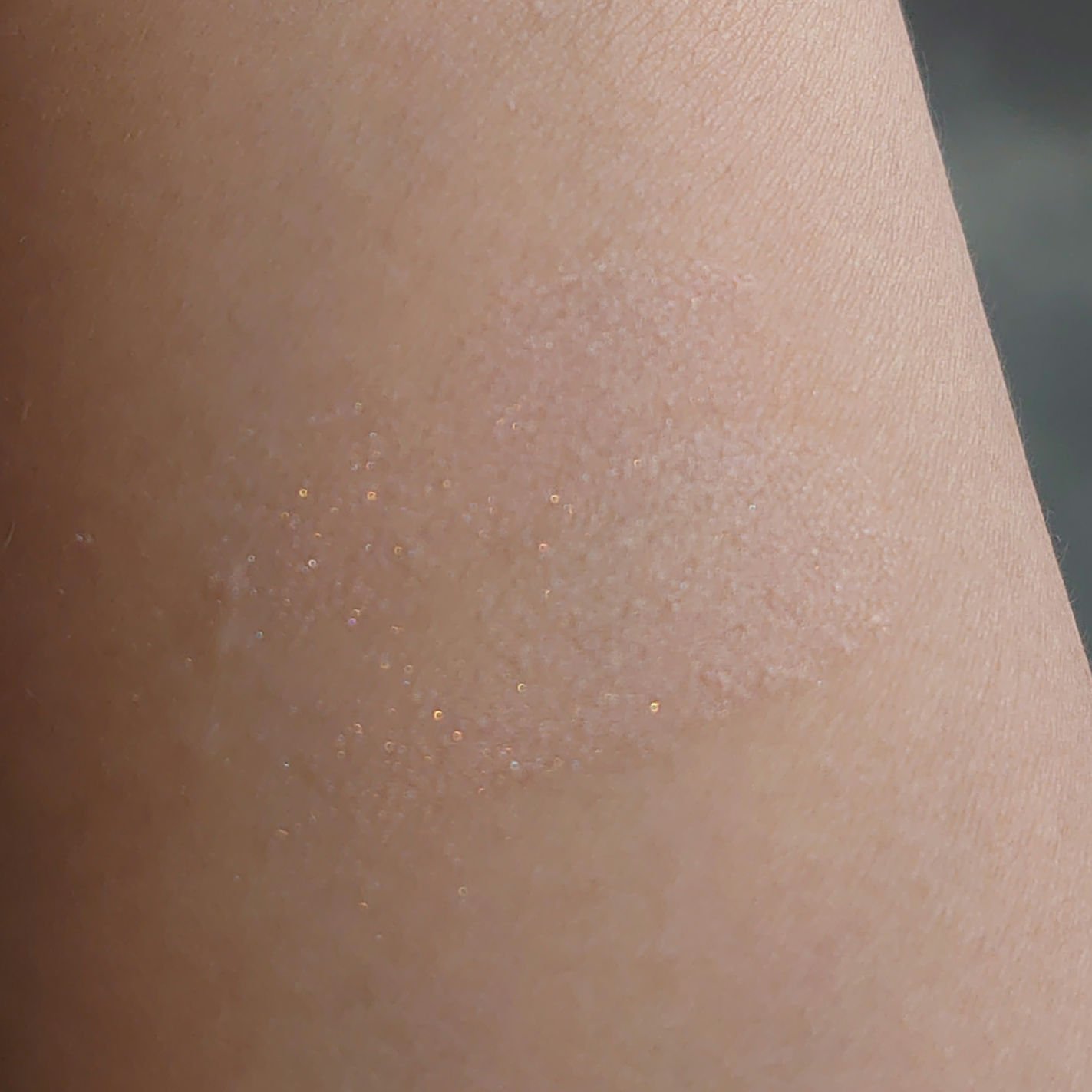 ブラーリング カラー ブラッシュ 101 羽風 -UFUU[限定色] (ペールベージュ × エアリーブルー)/SUQQU/パウダーチークを使ったクチコミ（2枚目）