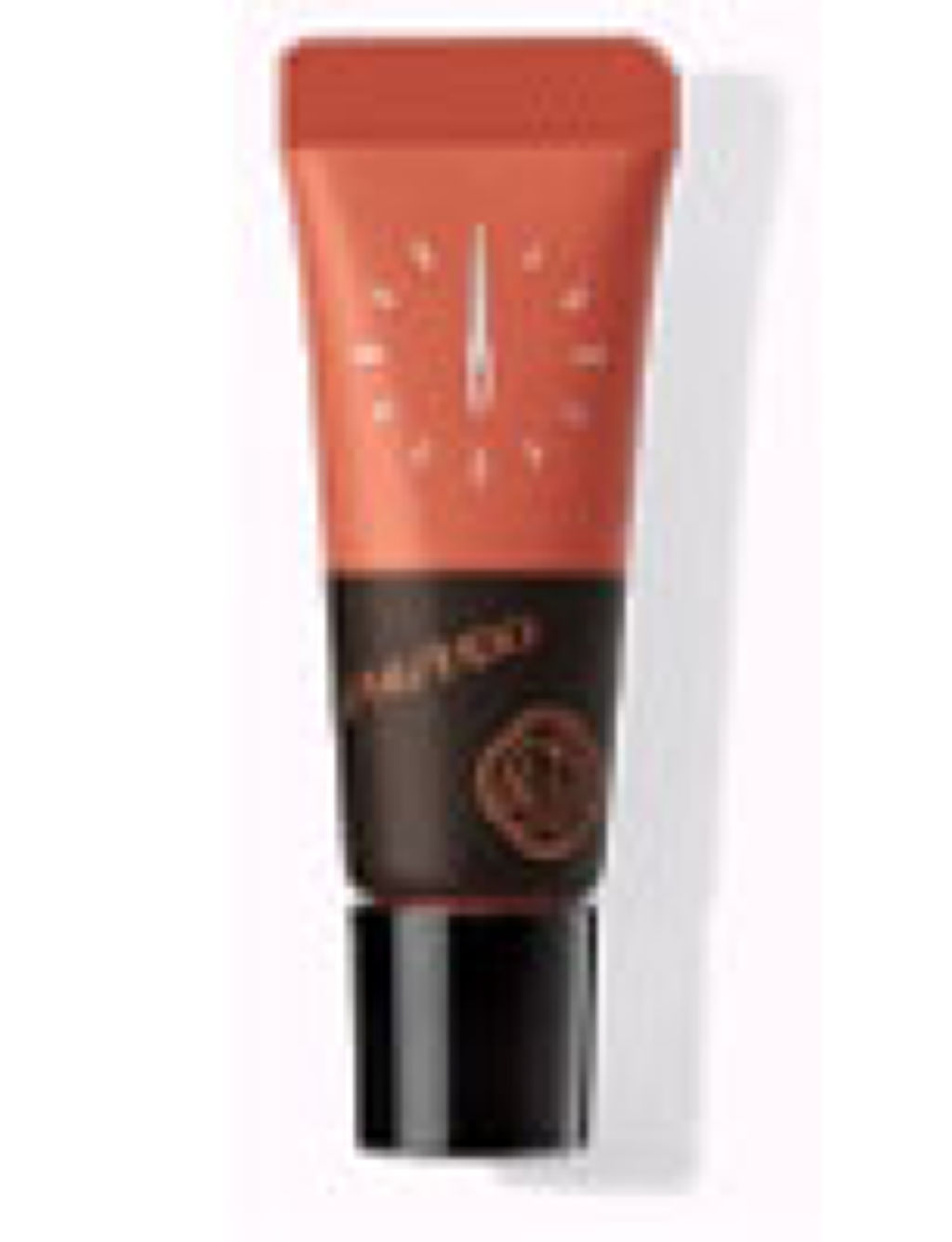 ムースパウダーリップ ピコ / SHISEIDO