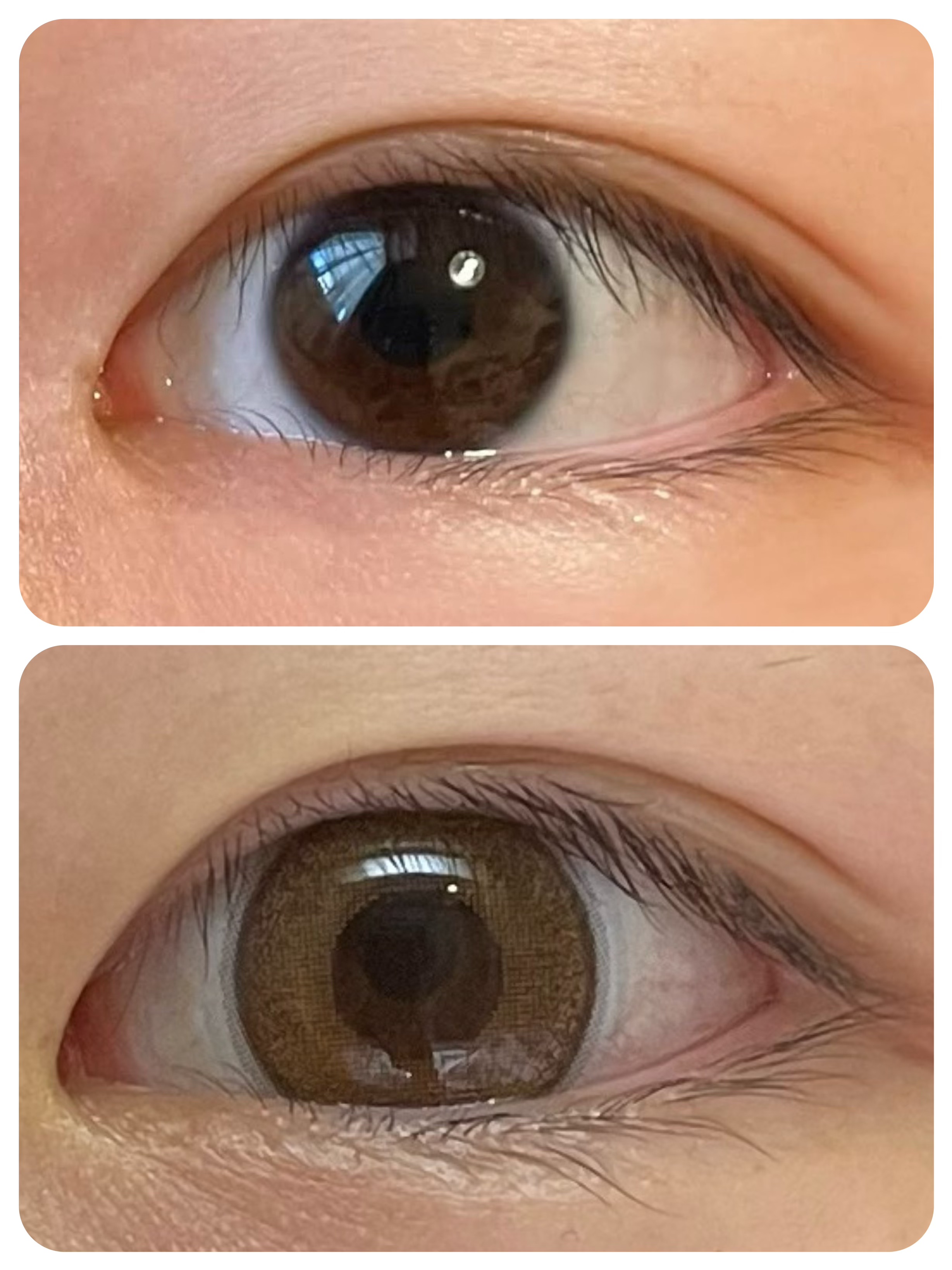 FLANMY 1day メープルシフォン/FLANMY/ワンデー（１DAY）カラコンを使ったクチコミ（2枚目）