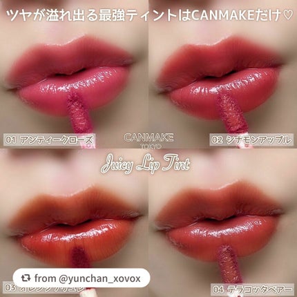ジューシーリップティント/キャンメイク/口紅を使ったクチコミ(8枚目)