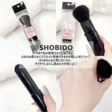 パウダー&チークブラシ スライドタイプ/SHOBIDO/メイクブラシを使ったクチコミ(3枚目)
