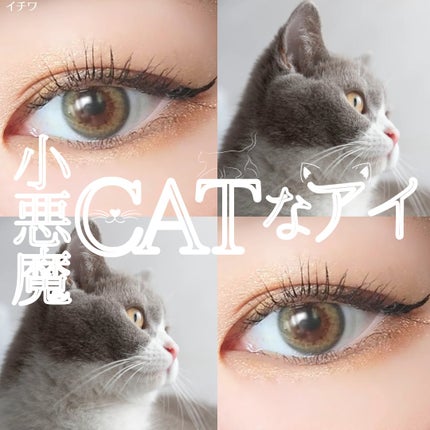 SCANDI 1day/OLENS/カラーコンタクトレンズを使ったクチコミ(1枚目)