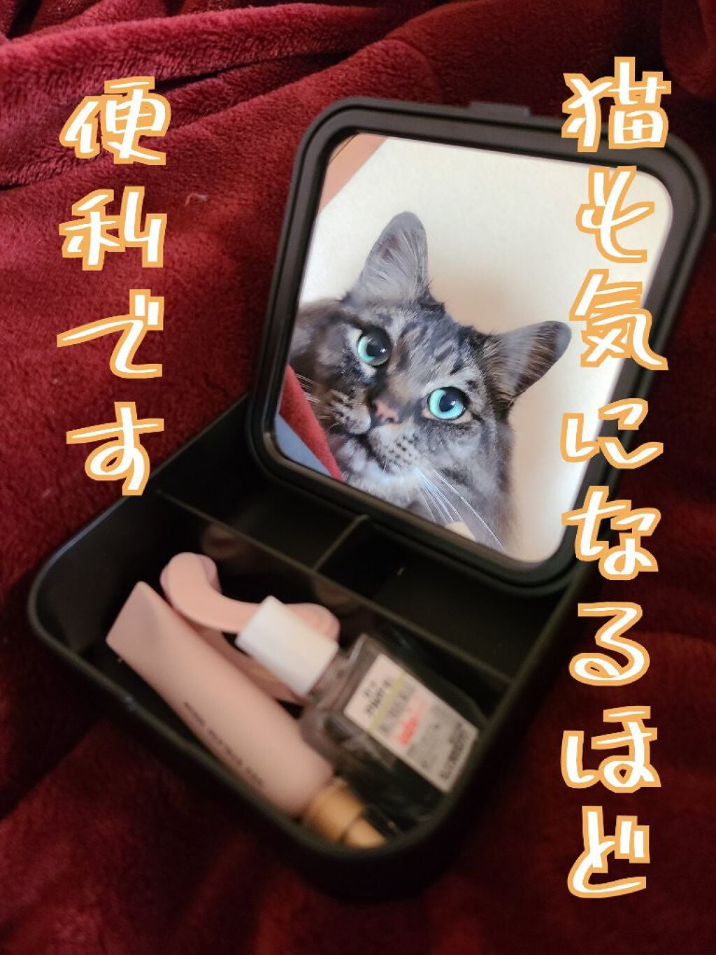 収納BOX付きミラー/セリア/その他を使ったクチコミ(1枚目)