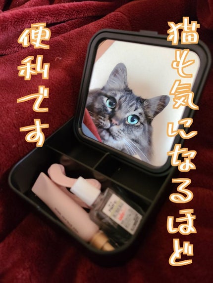 収納BOX付きミラー/セリア/その他を使ったクチコミ(1枚目)