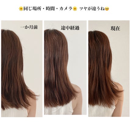 NIJI<ニジ>リズミック シャンプー/トリートメント/NIJI RHYTHMIC/市販シャンプーを使ったクチコミ(3枚目)