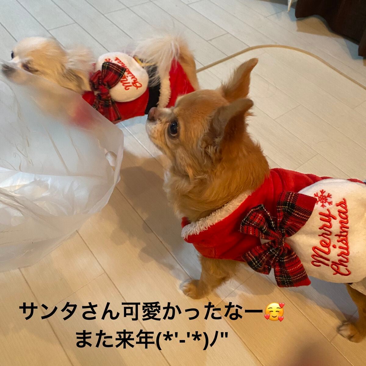 グロウ タッチ アイズ/SUQQU/リキッドアイシャドウを使ったクチコミ(7枚目)