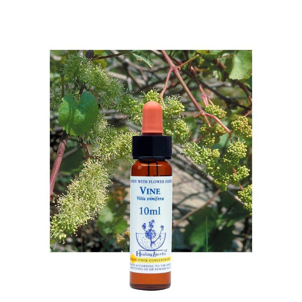 ヒーリングハーブフラワーエッセンス ヴァイン