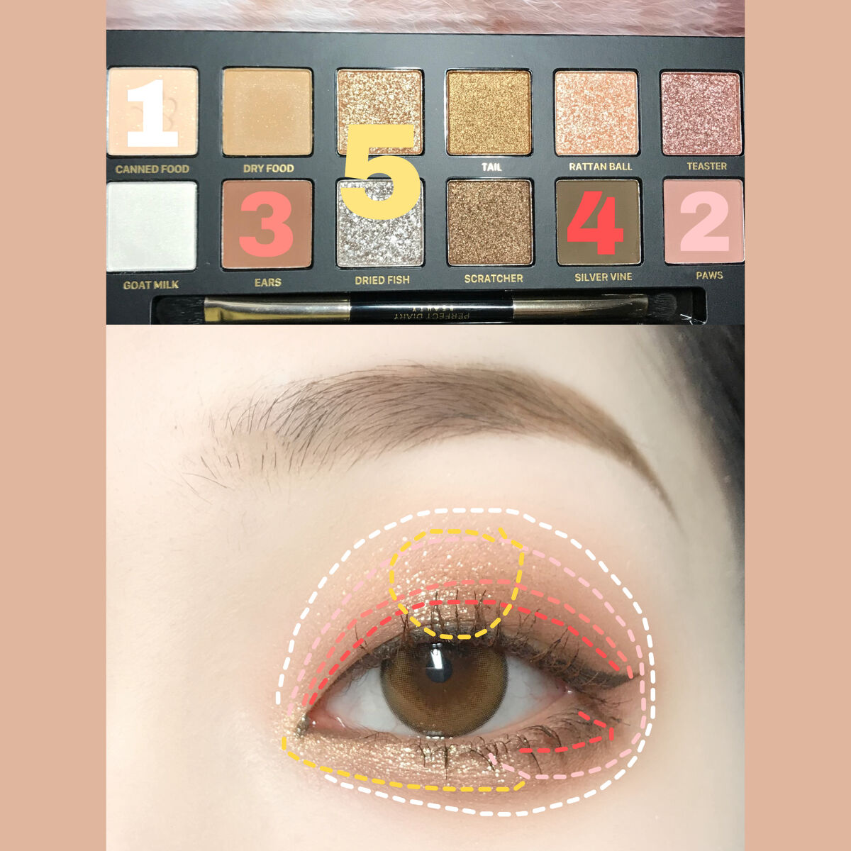 エクスプローラ12色 動物アイシャドウパレット 猫/PERFECT DIARY/アイシャドウパレットを使ったクチコミ（2枚目）