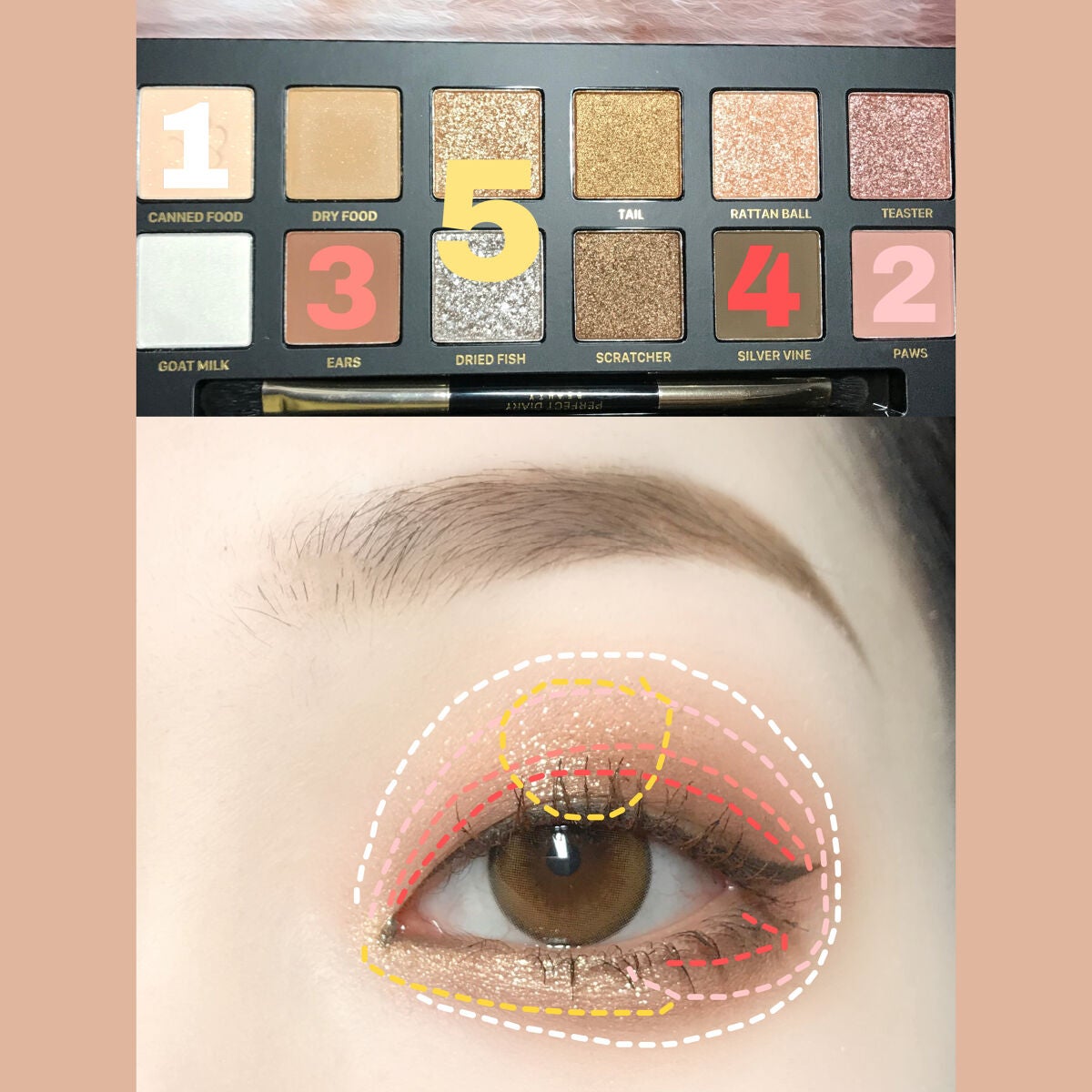 エクスプローラ12色 動物アイシャドウパレット/PERFECT DIARY/アイシャドウパレットを使ったクチコミ(2枚目)