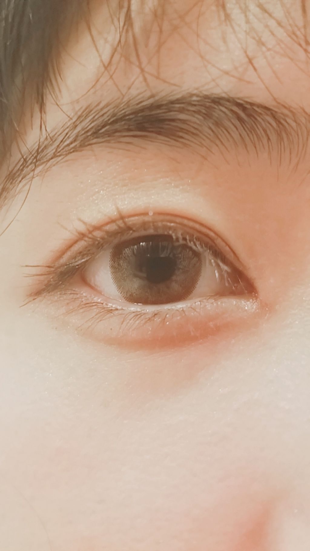 16 EYE MAGAZINE/16BRAND/アイシャドウパレットを使ったクチコミ(1枚目)