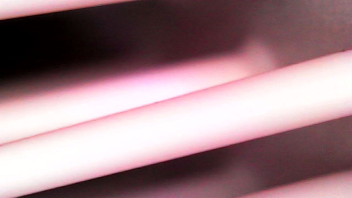 ザ・オリジナル ノーマル/TANGLE TEEZER/ヘアブラシを使ったクチコミ(3枚目)