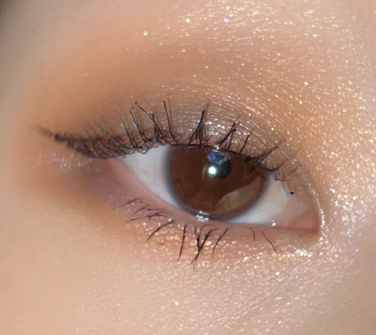 レイヤードカラーズアイシャドウ EX3 Wild Landscape（限定）/KANEBO/アイシャドウパレットを使ったクチコミ（2枚目）