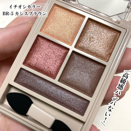 Visée パノラマデザイン アイパレットのクチコミ「高級感ある仕上がりがすごい!
Visée
リシェ パノラマデザイン アイパレット
BR-5カ.....」(3枚目)