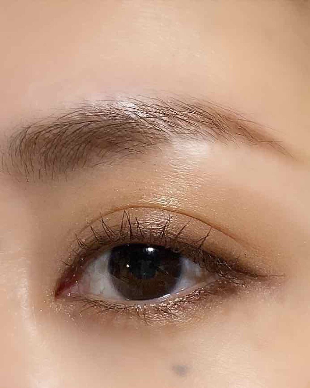 トーンアップアイシャドウ/CEZANNE/アイシャドウパレットを使ったクチコミ(3枚目)