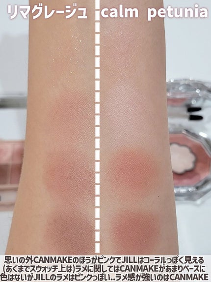 シルキースフレアイズ(マットタイプ)/キャンメイク/アイシャドウパレットを使ったクチコミ(4枚目)