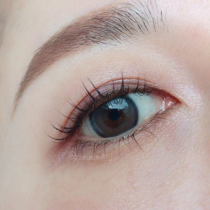 コンスピキュアス アイズ/Amplitude/アイシャドウパレットを使ったクチコミ(3枚目)