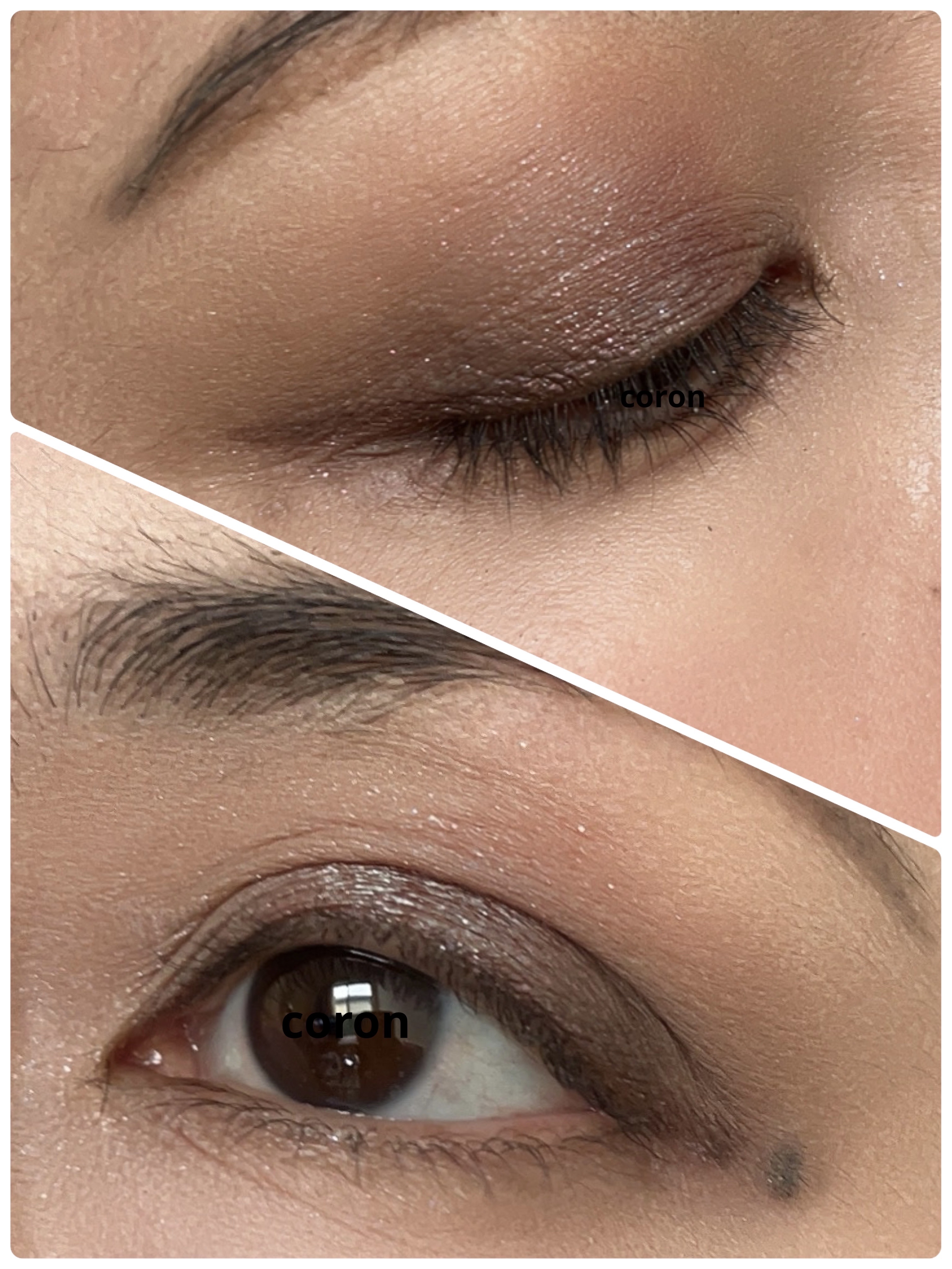 ピグメント/M・A・C/単色アイシャドウを使ったクチコミ（2枚目）