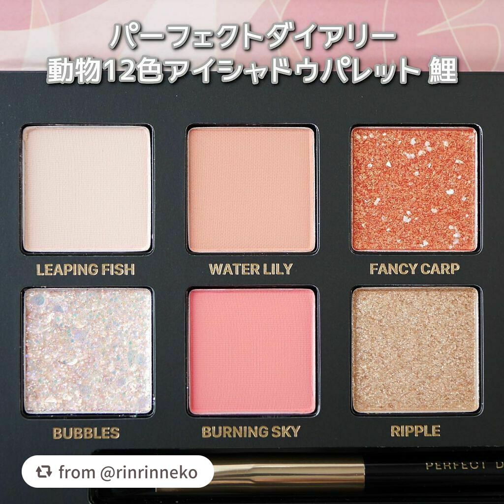 エクスプローラ12色 動物アイシャドウパレット/PERFECT DIARY/アイシャドウパレットを使ったクチコミ(6枚目)