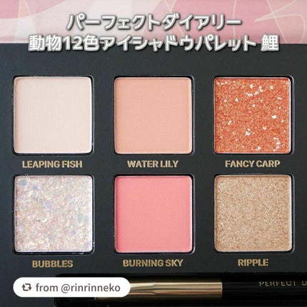 エクスプローラ12色 動物アイシャドウパレット/PERFECT DIARY/アイシャドウパレットを使ったクチコミ(6枚目)