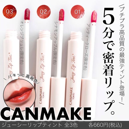 ジューシーリップティント/キャンメイク/口紅を使ったクチコミ(1枚目)