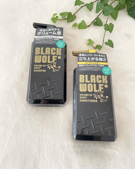 ブラックウルフ ボリュームアップスカルプシャンプー/大正製薬/市販シャンプーを使ったクチコミ(4枚目)