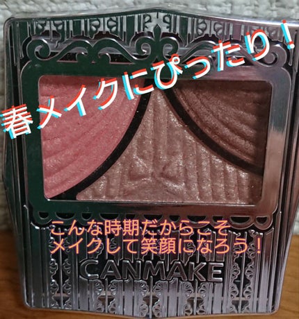 ジューシーピュアアイズ/キャンメイク/アイシャドウパレットを使ったクチコミ(1枚目)