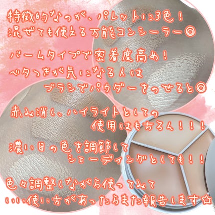 カバーアッププロコンシーラー/TFIT/パレットコンシーラーを使ったクチコミ(3枚目)