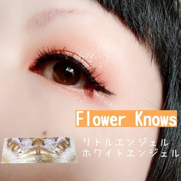 FlowerKnows リトルエンジェル12色アイシャドウパレットのクチコミ「【何だかんだで】


好きです、中国コスメ。


今回はFlower Knowsのリトルエンジ.....」（1枚目）