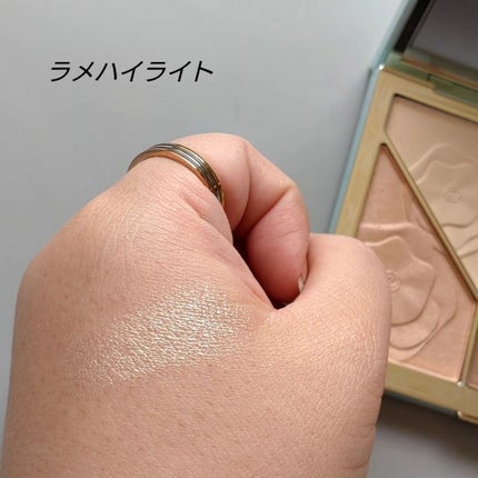 ハイライトシェーディングパレット/TIMAGE/パウダーハイライトを使ったクチコミ(4枚目)