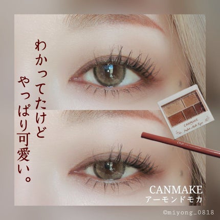 パーフェクトマルチアイズ/キャンメイク/アイシャドウパレットを使ったクチコミ(1枚目)