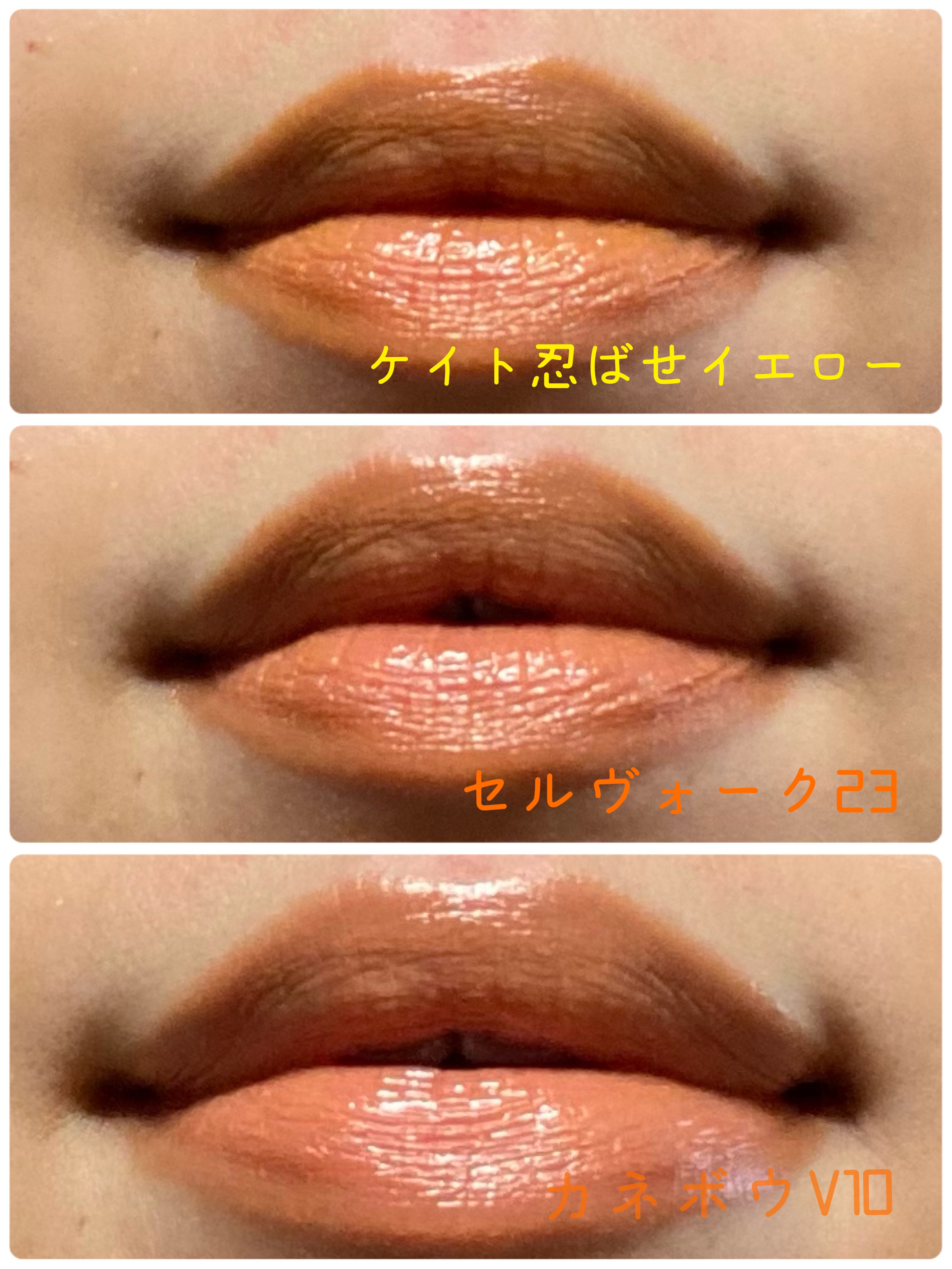 ルージュスターヴァイブラント V10 Golden Amber/KANEBO/口紅を使ったクチコミ（3枚目）