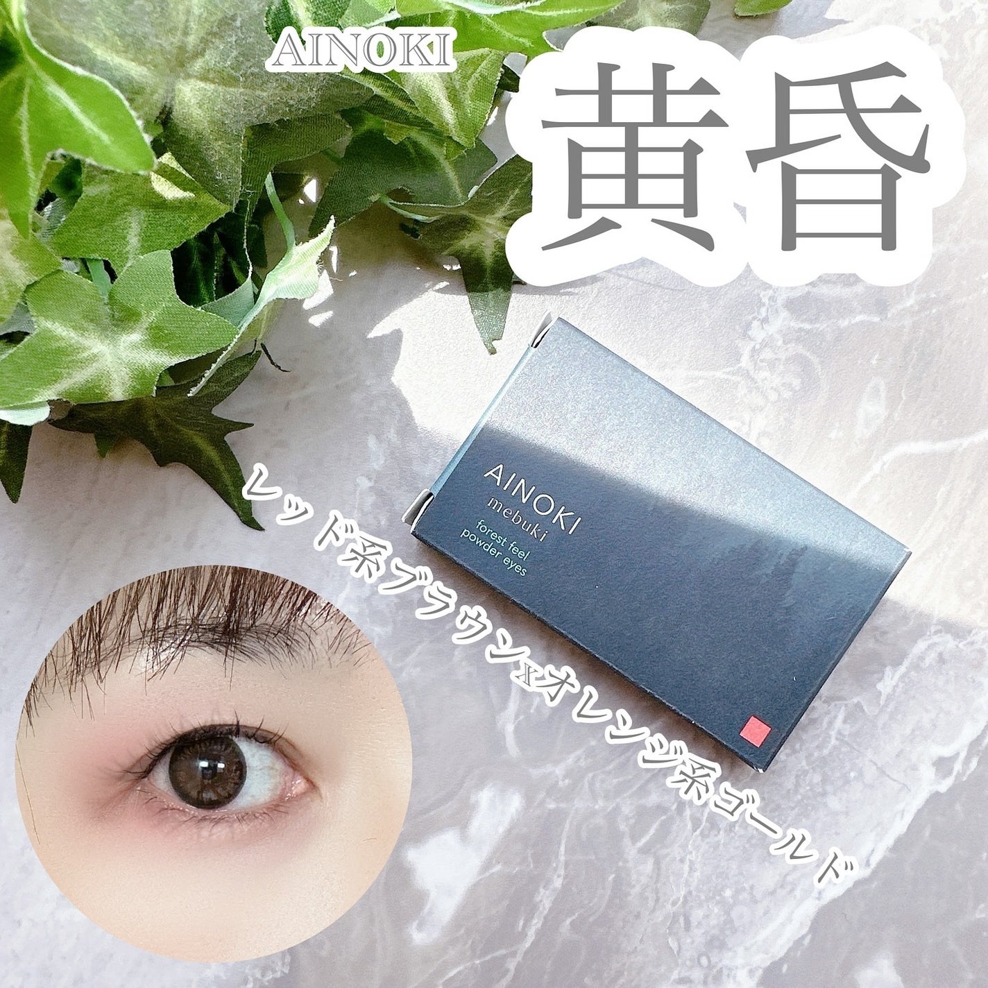 フォレスト フィール パウダー アイズ/AINOKI mebuki/アイシャドウパレットを使ったクチコミ(1枚目)