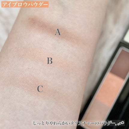 ヴィセ リシェ アイブロウパウダー/Visée/パウダーアイブロウを使ったクチコミ(4枚目)