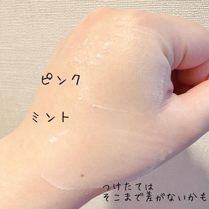 ノーセバムミントブラーパウダー /Vertty/ルースパウダーを使ったクチコミ(5枚目)