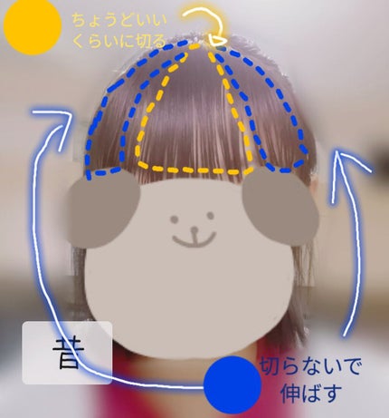 を使ったクチコミ(2枚目)