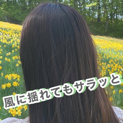 arwe fresh 55 shampooのクチコミ「arweのfresh 55 shampoo🍃
arwe様より #提供 でいただきました!
.....」(3枚目)