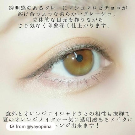 スキルレスライナー/LUMIURGLAS/リキッドアイライナーを使ったクチコミ(4枚目)