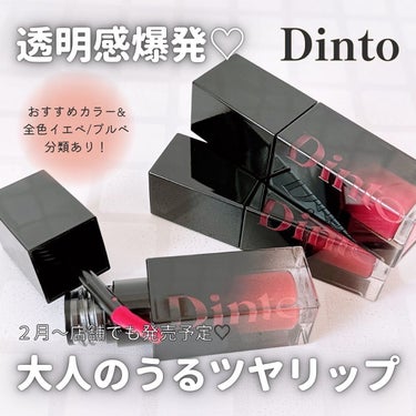 ブラーグロイリップティント/Dinto/口紅を使ったクチコミ（1枚目）