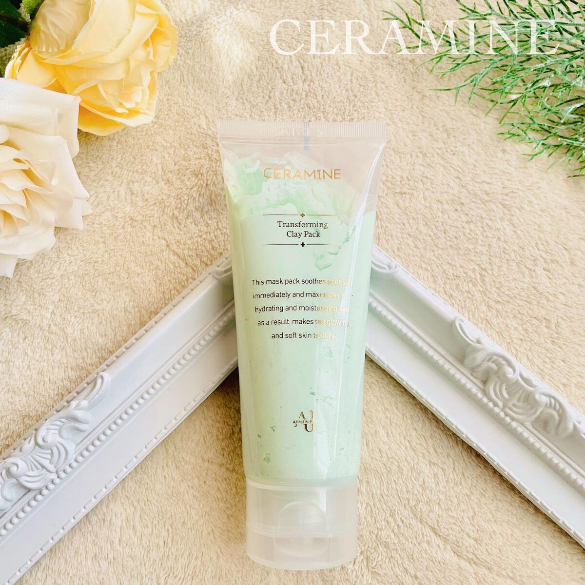 トランスフォーミングクレイパック/CERAMINE/洗い流すパック・マスクを使ったクチコミ(1枚目)